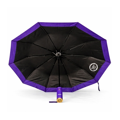 Picture of Umbrella – Portable Folding Waterproof Travel Umbrella