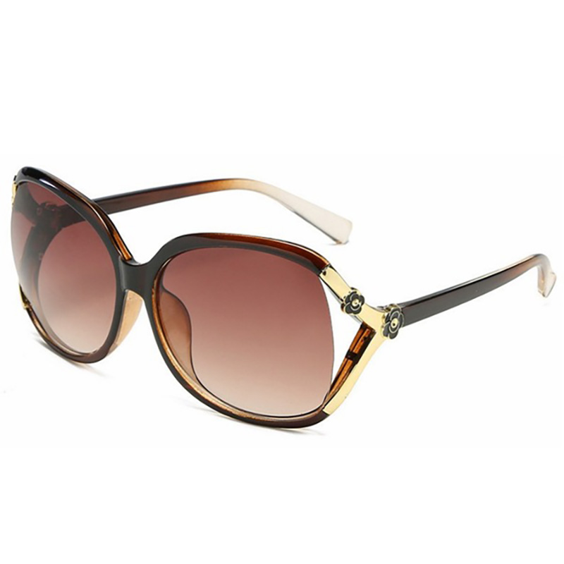Picture of New Model Classical Fashionable Sunglass For Women/ Women Sunglasses Polarized (Brown,Brown)