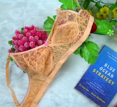 Picture of ROMANTIC MOOD Women's Non Padded Non-Wired Women’s net Designed Bra with Full Coverage Regular use Bra Comfortable and Breathable for All Age Group Combo Bras