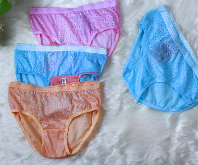 Picture of 6 PCS Girls Cotton Print Panties |Soft Cotton Panties for Girls |Cotton Briefs|Girls Underwear|Girls Innerwear  Comfortable and Stylish Underwear Thai Style Flower Panty Women's Wear cotton panty flower print panty