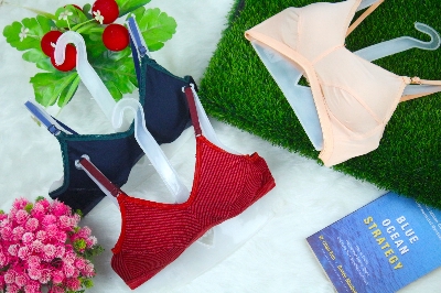Picture of 2PCS Fashion Form Women's Non Padded Wire Free Everyday Bra  Best Quality Stylish sexy Stitchable bra for women and girls Stitch Soft and Comfortable Multicolor Bra
