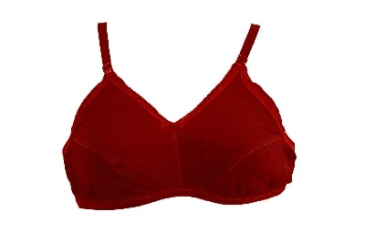 Picture of 2PCS Fashion Form Women's Non Padded Wire Free Everyday Bra  Best Quality Stylish sexy Stitchable bra for women and girls Stitch Soft and Comfortable Multicolor Bra