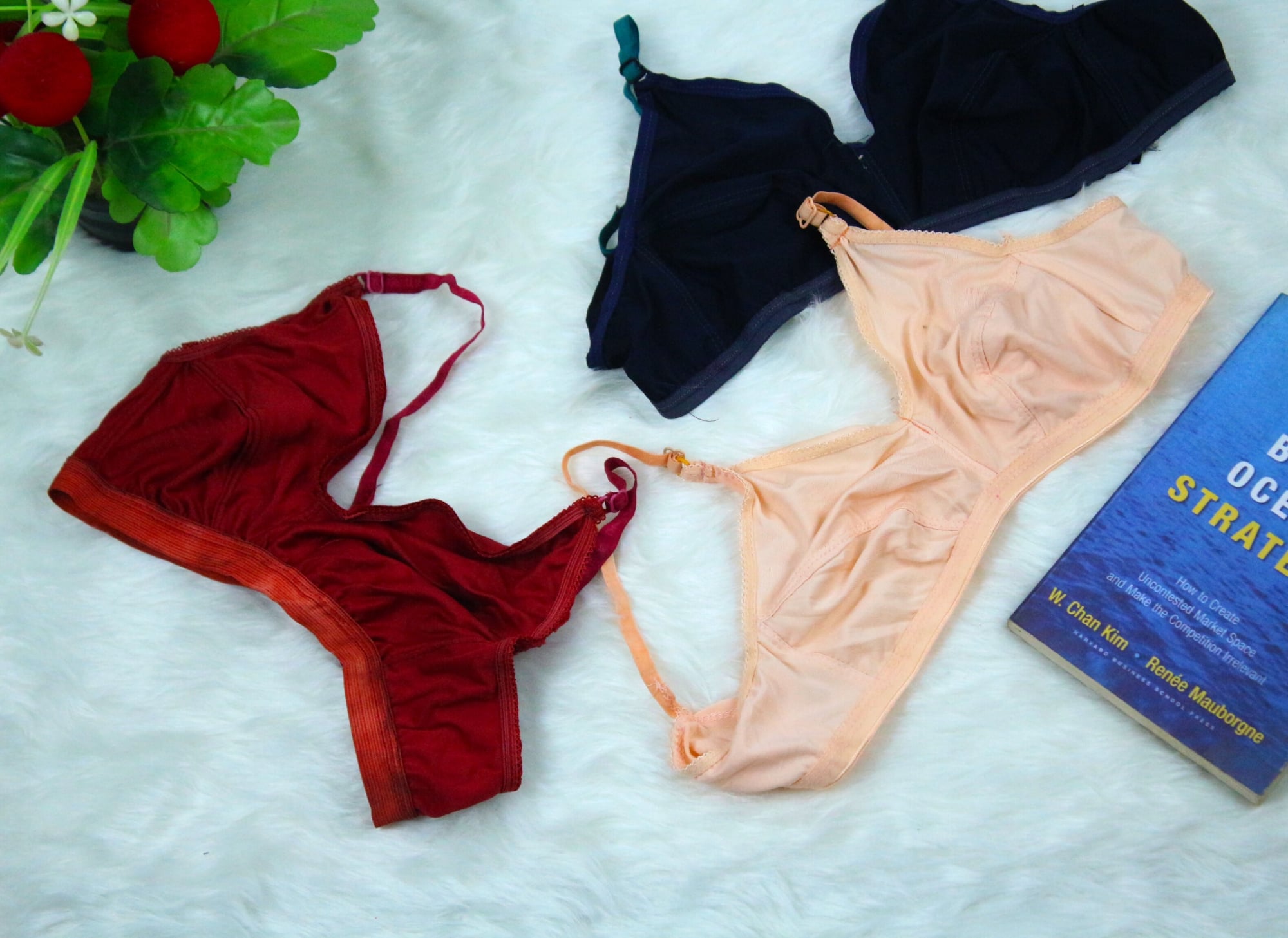Picture of 2PCS Fashion Form Women's Non Padded Wire Free Everyday Bra  Best Quality Stylish sexy Stitchable bra for women and girls Stitch Soft and Comfortable Multicolor Bra