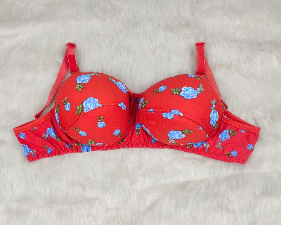 Picture of Women's Regular Wear Padded Bra  Soft and Comfortable Bra Women and Girls | Soft Padded Bra With Print Design MultiColor Foam Stylish comfortable Qualityfull Bra | push up bra foam bra