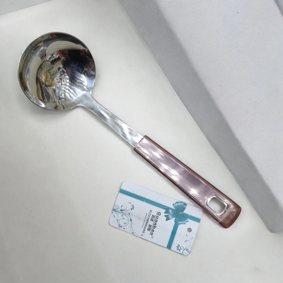 Picture of Silver Big Soup Spoon – 9-Inch Stainless Steel – Multiple Color Plastic Cover Handle – Ideal for Cooking and Serving – Mirror Polish, Non-Magnetic – 1 Piece-Silver