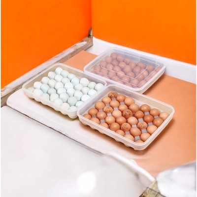 Picture of Store Up to 34 Eggs with Our BPA-Free, Food-Grade Plastic Egg Box! Comes with Lid, Perfect Fit for Every Egg. Ideal for Refrigerators or Kitchens. Quantity  1 Pc.-White