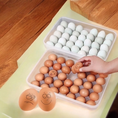 Picture of 34-Grid Egg Box  BPA-Free, Food-Grade Plastic with Lid. Perfect Fit for Every Egg. Ideal for Fridges and Kitchens. Holds 34 Eggs. Quantity  1 Pc.-White