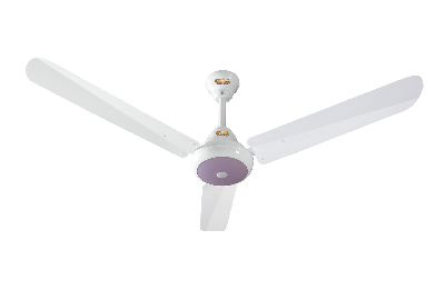 Picture of GFC Ravi Model Ceiling Fan 56 inch - White