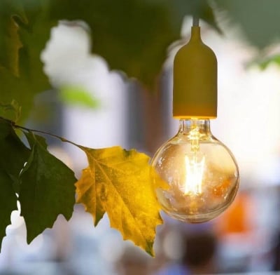 Picture of LED Bulb Vintage Rustic Style 4W Filament Bulb Decor Lamp 1Pcs - Brown
