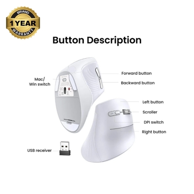 Picture of UGREEN MU008 (45759) Wireless (Dual Mode) White Silent Vertical Mouse