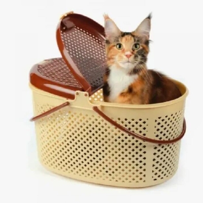 Picture of Good Quality Strong Beautiful Unique Design Smart Look Big Size Clothes & Picnic Basket – 1 Piece-Multicolor