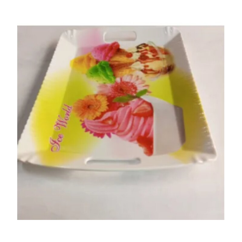 Picture of Premium Printed Served Tray 12-Inch  - Serve Your food Premium Printed On the tray-Multicolor