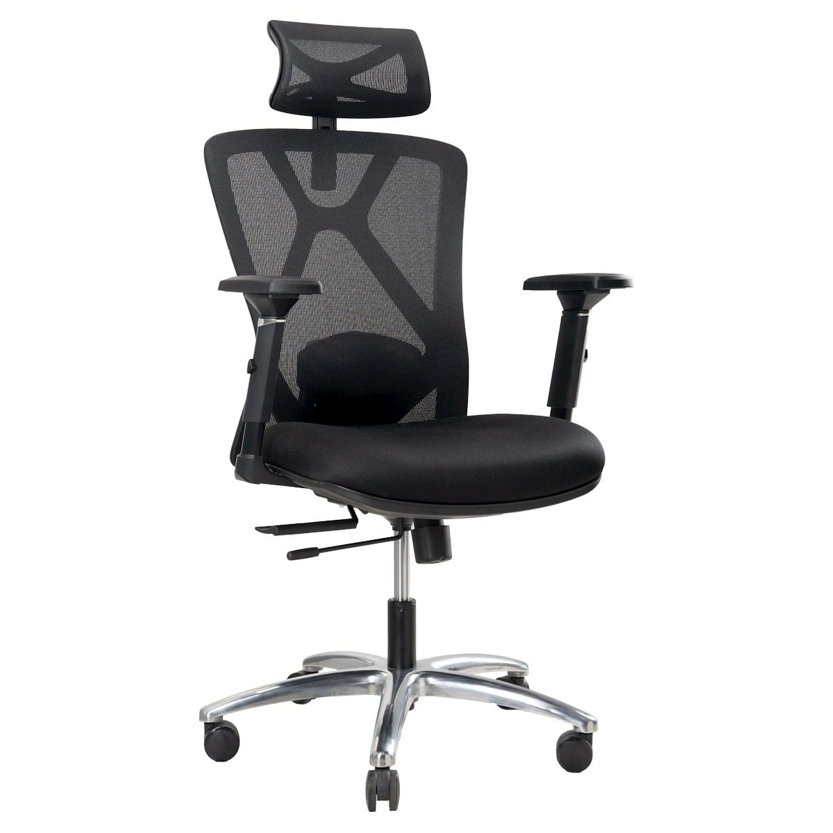 Picture of REGAL Office Swivel Chair Ergonomic Chair- B31