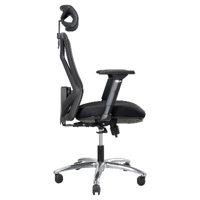Picture of REGAL Office Swivel Chair Ergonomic Chair- B31