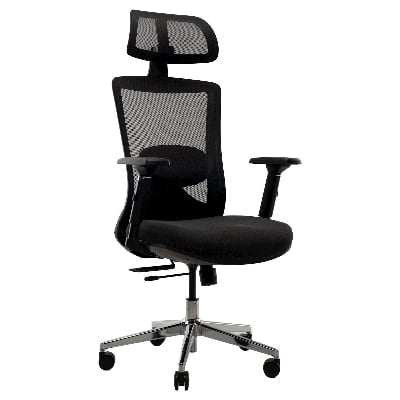 Picture of REGAL Office Swivel Chair Ergonomic Chair- B35