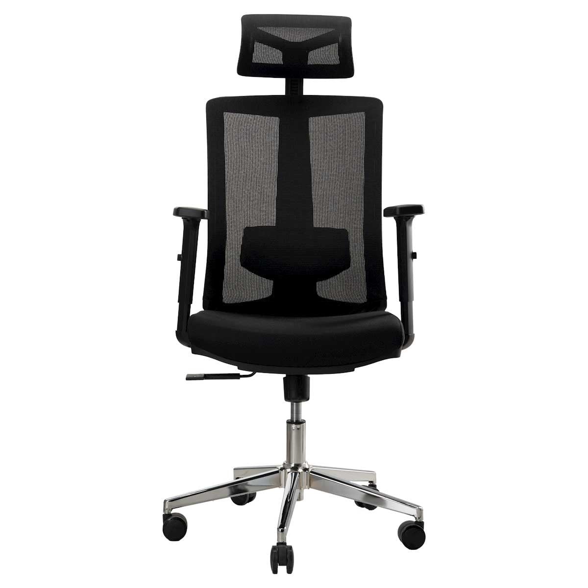 Picture of REGAL Office Swivel Chair Ergonomic Chair- B36