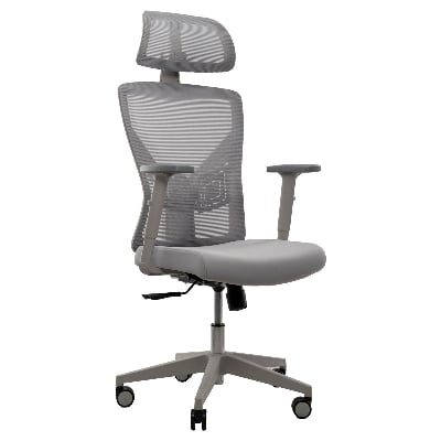 Picture of REGAL Office Swivel Chair Ergonomic Chair- B37