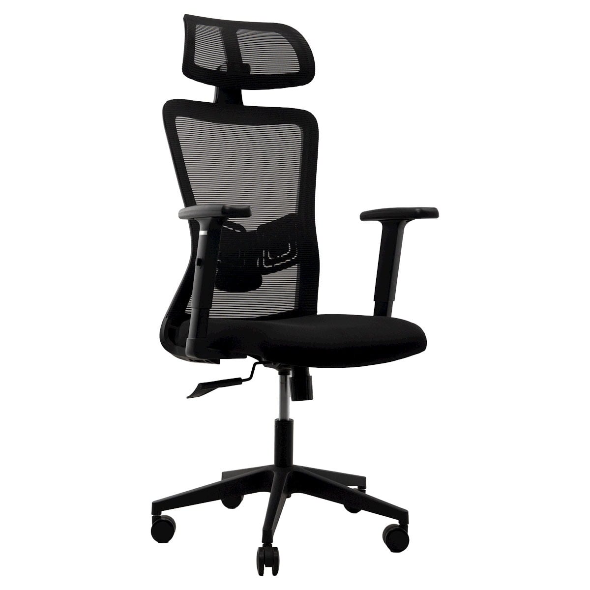 Picture of REGAL Office Swivel Chair Ergonomic Chair- D86