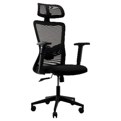 Picture of REGAL Office Swivel Chair Ergonomic Chair- D86