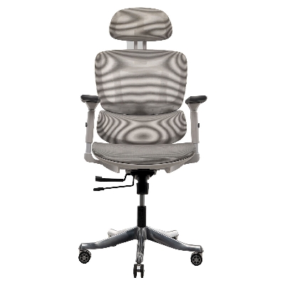 Picture of REGAL Office Swivel Chair Ergonomic Chair- ZF01