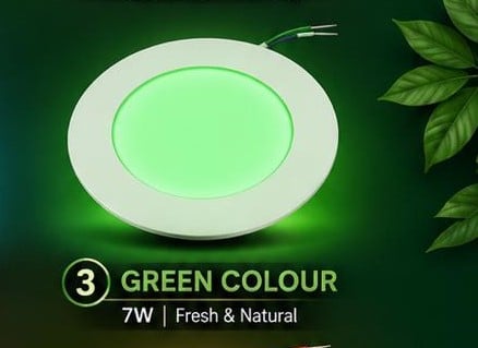 Picture of Evergreen Down Light 7W  (GREEN)