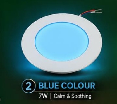 Picture of Evergreen Down Light 7W  (BLUE)