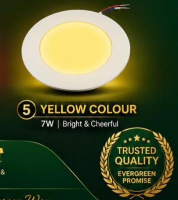 Picture of Evergreen Down Light 7W  (yellow)