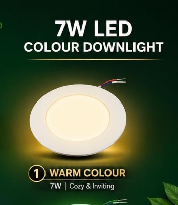 Picture of Evergreen Down Light 7W  (WARM)