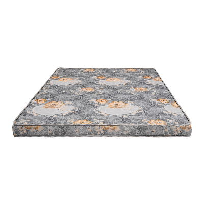 Picture of REGAL ORTHOPEDIC DOUBLE MATTRESS (78X59.05X4)-302