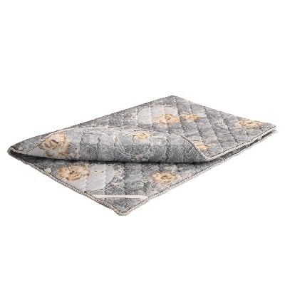 Picture of REGAL MATTRESS DREAMLAYER SINGLE (78X41)M-302