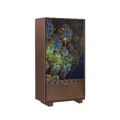 Picture of REGAL HOUSEHOLD ALMIRAH-LOCKER-CHOCO WATER ORCHID