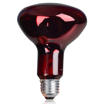 Picture of Philips Infrared Physiotherapy Bulb Heat Therapy Lamp IR RED E27 PAR38 R95 100W Brown