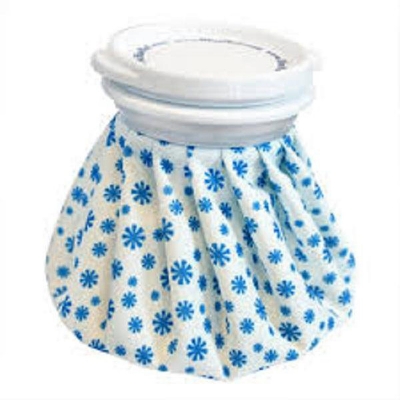 Picture of eglish Style Ice Cap Reusable Ice Bag 9  Inch -En 