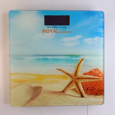 Picture of Royal Digital Body Weight Scale -180kg Multicolor