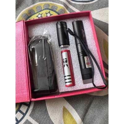 Picture of Laser 303 Rechargeable laser pointer kit - Black