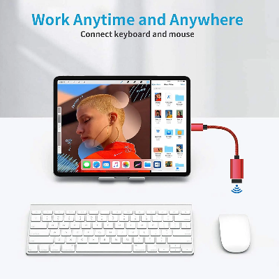 Picture of USB Type-C OTG Adapter Cable | USB-C Male to USB-A Female OTG Converter | High-Speed Data Transfer for Android Phone, Tablet & Laptop
