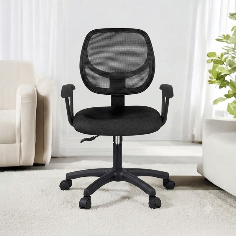 Picture of Low Back Executive Chair (Mini mesh) Multicolor
