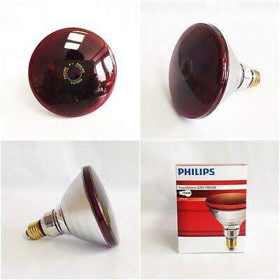 Picture of Philips Infrared Lamp BULB-150W - Red - Int: One size
