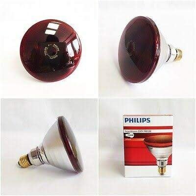 Picture of Philips Infrared Lamp BULB-150W - Red - Int: One size