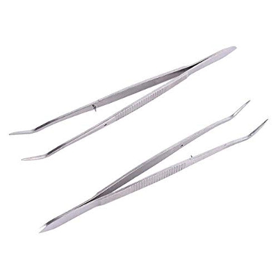 Picture of Generic Dentistry Tool Dental Plier Stainless Steel Dental Tweezer Forcep Teeth Clean Tools Professional Dentistry Instrument Hygiene - Int: One size