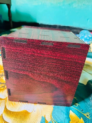 Picture of "Wooden Medicine Storage Box – First Aid Organizer Case for Home & Office"-Multicolor