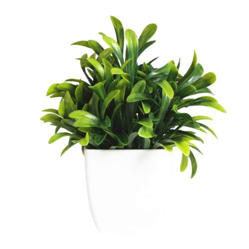 Picture of Artificial  Grass - Table Desk Decoration Plants - Plastic Tree and grass - Artificial Green Tree - Luohan grass potted - Green