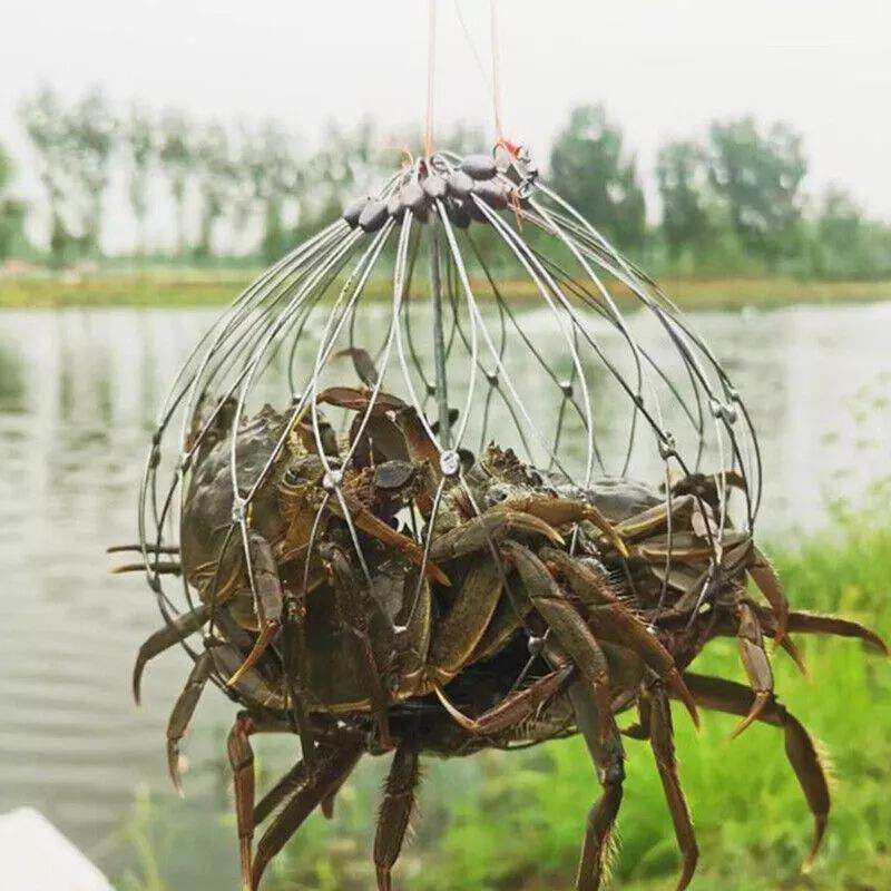 Picture of Automatic Opening & Closing Fishing Net Cage,Fishing Net Fishing Crab Steel Wire - Silver
