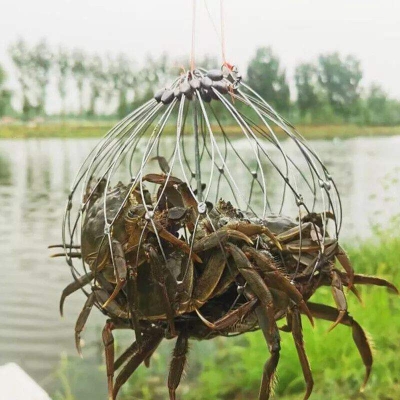 Picture of Automatic Opening & Closing Fishing Net Cage,Fishing Net Fishing Crab Steel Wire - Silver