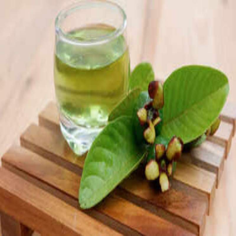 Picture of Dried Guava Leaves 100% Antidiabetic Anti Hair Loss Tea Leaves 200gm - 100gm