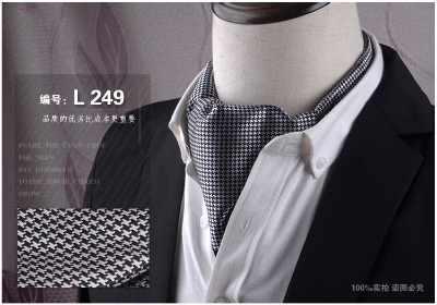 Picture of Men’s Fashionable Ascot Tie – Jacquard Shirt Scarf Neckwear (1 Pc) (L249,Int: One size)