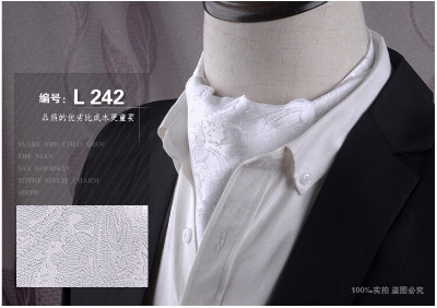 Picture of Men’s Fashionable Ascot Tie – Jacquard Shirt Scarf Neckwear (1 Pc) (LJE-19 Ascot+Pct Sq,Int: One size)