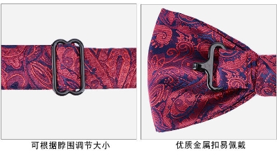 Picture of Rhinestone Butterfly  British Men's Wedding Groom Bow Tie (Thin Floral Red,Int: One size)