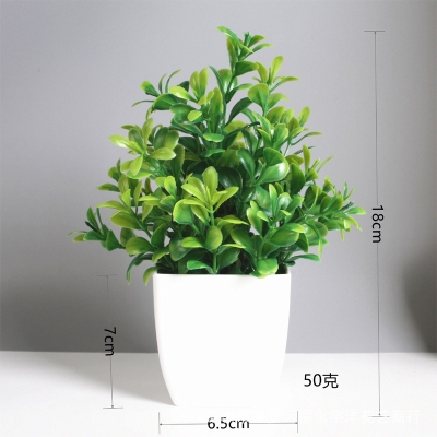 Picture of Artificial  Grass - Table Desk Decoration Plants - Plastic Tree and grass - Artificial Green Tree - 

Magnolia grass potted - Green