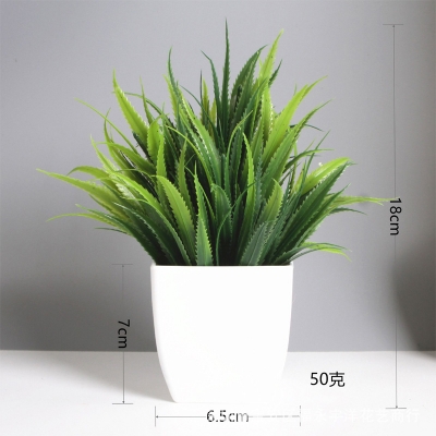 Picture of Artificial  Grass - Table Desk Decoration Plants - Plastic Tree and grass - Artificial Green Tree -  Aloe leaf potted Grass - Green